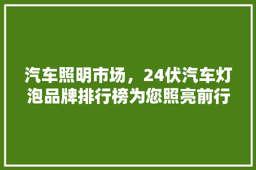 汽车照明市场，24伏汽车灯泡品牌排行榜为您照亮前行之路  第1张