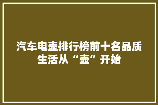 汽车电壶排行榜前十名品质生活从“壶”开始  第1张