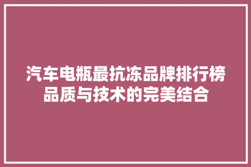 汽车电瓶最抗冻品牌排行榜品质与技术的完美结合