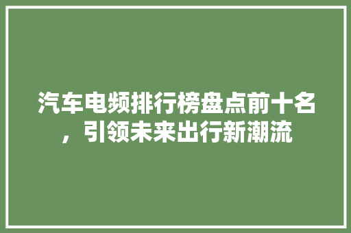 汽车电频排行榜盘点前十名，引领未来出行新潮流  第1张