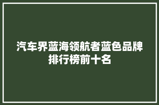 汽车界蓝海领航者蓝色品牌排行榜前十名  第1张