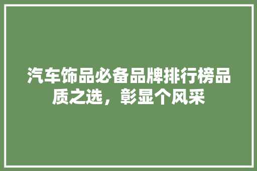 汽车饰品必备品牌排行榜品质之选，彰显个风采