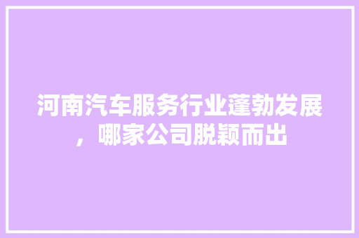 河南汽车服务行业蓬勃发展，哪家公司脱颖而出