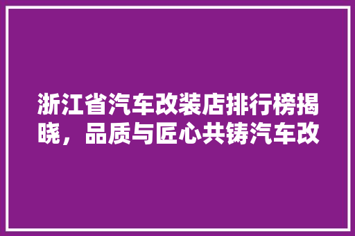 浙江省汽车改装店排行榜揭晓，品质与匠心共铸汽车改装新篇章