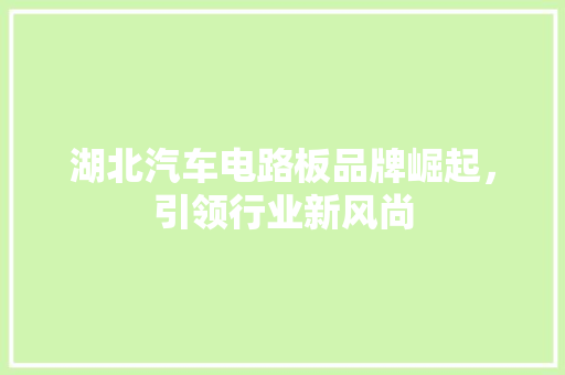 湖北汽车电路板品牌崛起，引领行业新风尚  第1张