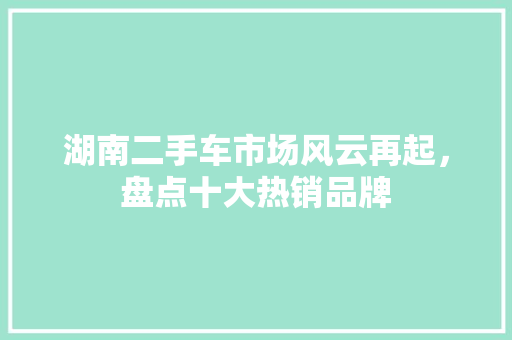 湖南二手车市场风云再起，盘点十大热销品牌