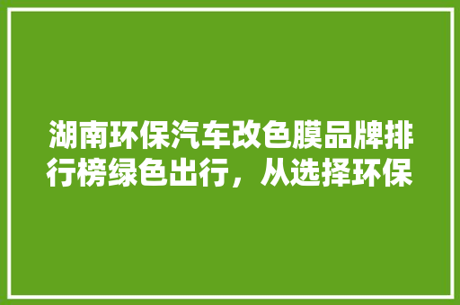 湖南环保汽车改色膜品牌排行榜绿色出行，从选择环保改色膜开始