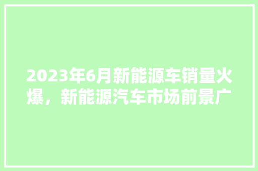 2023年6月新能源车销量火爆，新能源汽车市场前景广阔