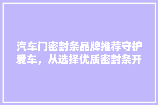 汽车门密封条品牌推荐守护爱车，从选择优质密封条开始