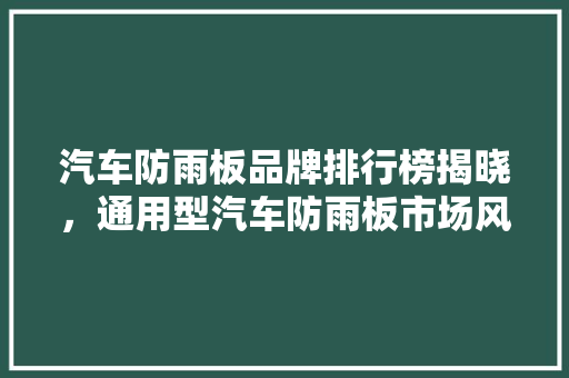 汽车防雨板品牌排行榜揭晓，通用型汽车防雨板市场风云再起