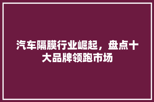 汽车隔膜行业崛起，盘点十大品牌领跑市场  第1张