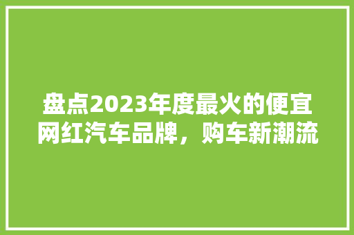盘点2023年度最火的便宜网红汽车品牌，购车新潮流来袭！