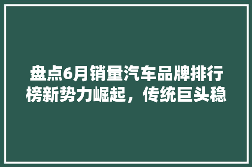 盘点6月销量汽车品牌排行榜新势力崛起，传统巨头稳坐江山