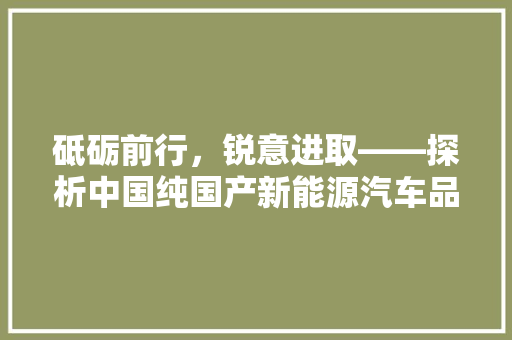 砥砺前行，锐意进取——探析中国纯国产新能源汽车品牌发展新态势