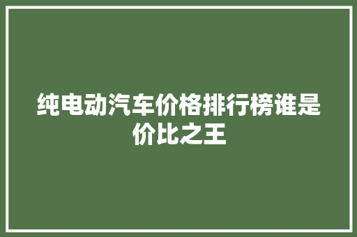 纯电动汽车价格排行榜谁是价比之王