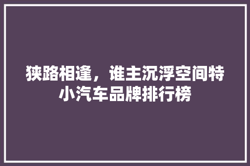 狭路相逢，谁主沉浮空间特小汽车品牌排行榜