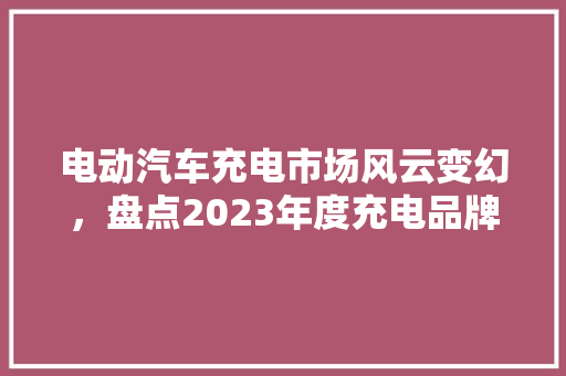 电动汽车充电市场风云变幻，盘点2023年度充电品牌排行榜