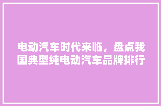 电动汽车时代来临，盘点我国典型纯电动汽车品牌排行榜