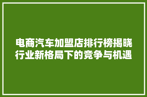 电商汽车加盟店排行榜揭晓行业新格局下的竞争与机遇