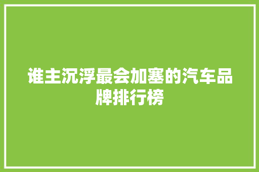 谁主沉浮最会加塞的汽车品牌排行榜  第1张