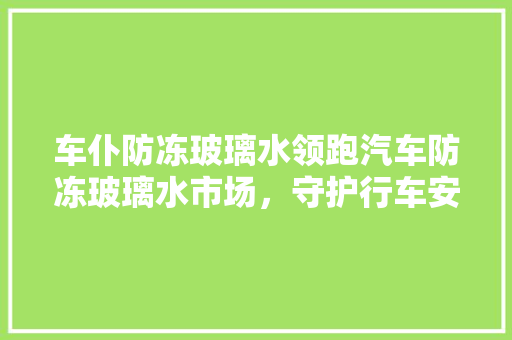 车仆防冻玻璃水领跑汽车防冻玻璃水市场，守护行车安全