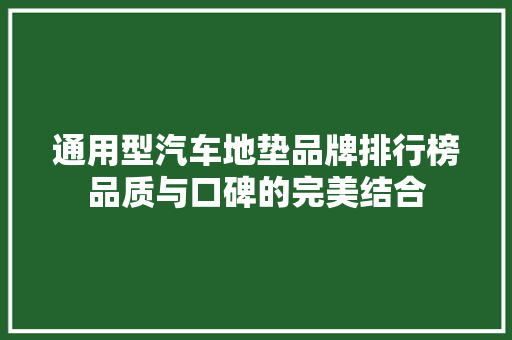 通用型汽车地垫品牌排行榜品质与口碑的完美结合  第1张