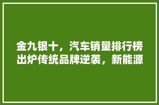 金九银十，汽车销量排行榜出炉传统品牌逆袭，新能源崛起