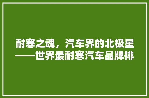 耐寒之魂，汽车界的北极星——世界最耐寒汽车品牌排行榜