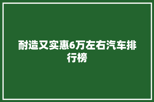 耐造又实惠6万左右汽车排行榜