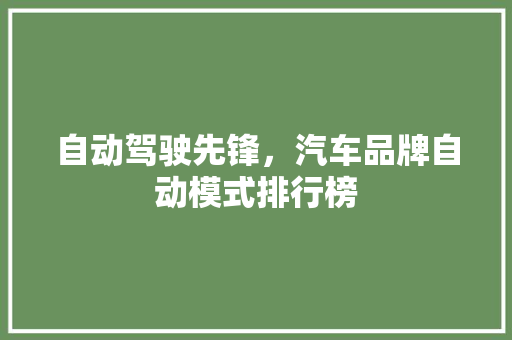 自动驾驶先锋，汽车品牌自动模式排行榜