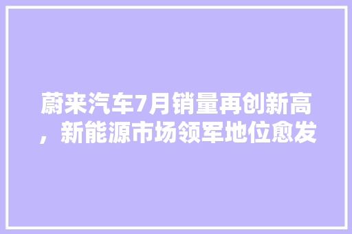 蔚来汽车7月销量再创新高，新能源市场领军地位愈发稳固