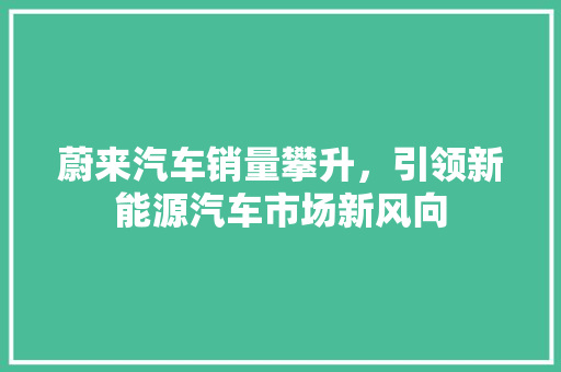 蔚来汽车销量攀升，引领新能源汽车市场新风向  第1张