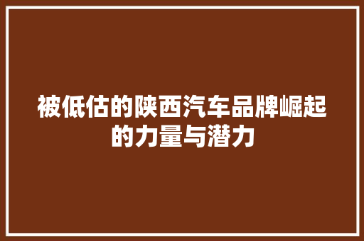 被低估的陕西汽车品牌崛起的力量与潜力  第1张
