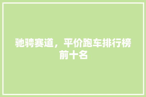 驰骋赛道，平价跑车排行榜前十名  第1张