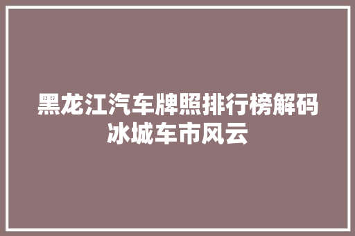 黑龙江汽车牌照排行榜解码冰城车市风云