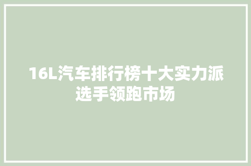 16L汽车排行榜十大实力派选手领跑市场