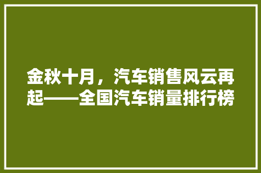 金秋十月，汽车销售风云再起——全国汽车销量排行榜揭晓  第1张