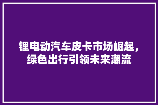 锂电动汽车皮卡市场崛起，绿色出行引领未来潮流  第1张