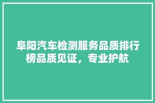 阜阳汽车检测服务品质排行榜品质见证，专业护航  第1张