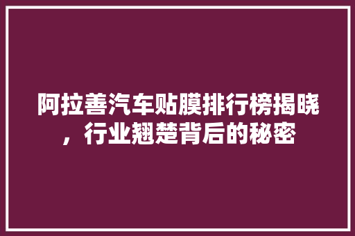 阿拉善汽车贴膜排行榜揭晓，行业翘楚背后的秘密  第1张