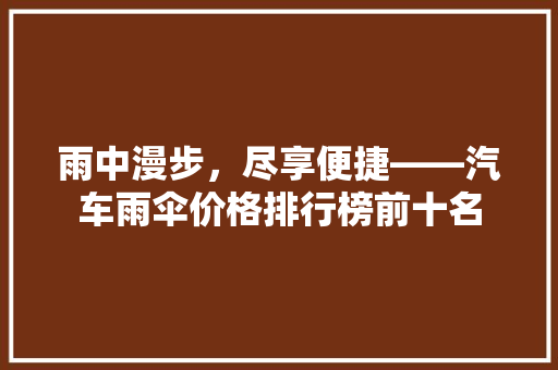 雨中漫步，尽享便捷——汽车雨伞价格排行榜前十名  第1张