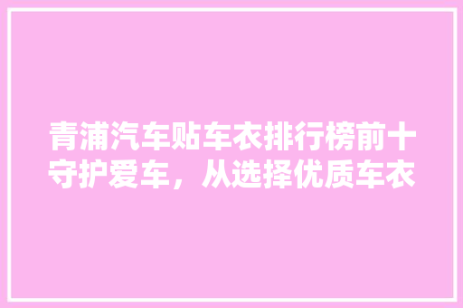 青浦汽车贴车衣排行榜前十守护爱车，从选择优质车衣开始