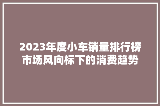 2023年度小车销量排行榜市场风向标下的消费趋势