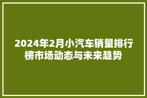 2024年2月小汽车销量排行榜市场动态与未来趋势