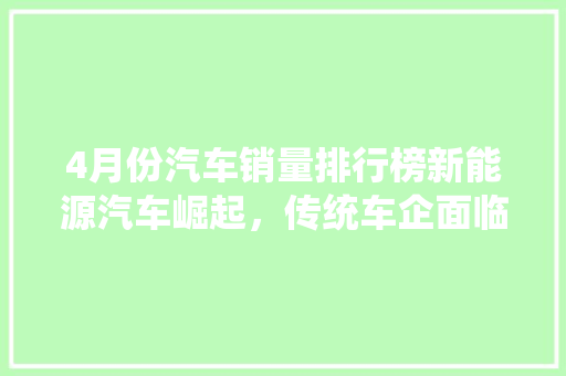 4月份汽车销量排行榜新能源汽车崛起，传统车企面临挑战  第1张