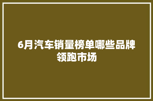6月汽车销量榜单哪些品牌领跑市场  第1张