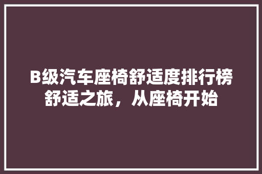 B级汽车座椅舒适度排行榜舒适之旅，从座椅开始