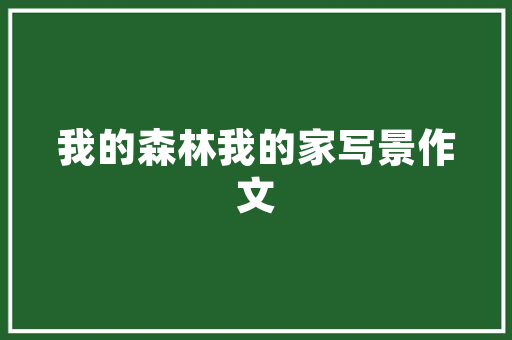 10万以下混动汽车推荐节能减排，绿色出行新选择  第1张
