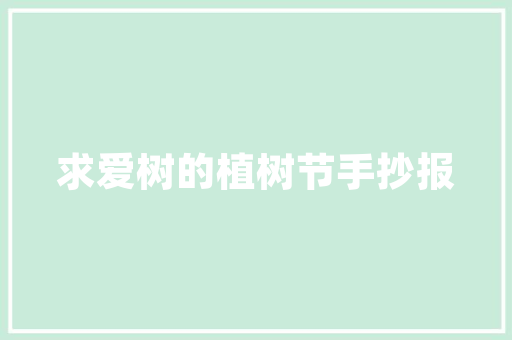 10万元购车攻略高价比车型推荐，开启你的驾驭之旅