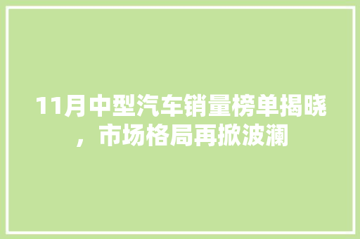 11月中型汽车销量榜单揭晓，市场格局再掀波澜